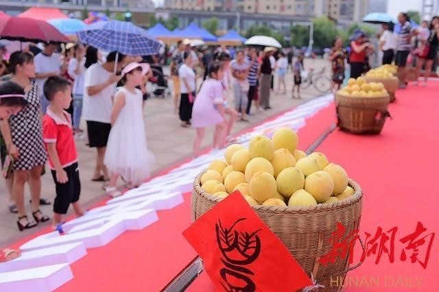 洪江市禹甜科技有限公司,黔阳瞐农产品的批发零售 洪江市禹甜科技有限公司,黔阳瞐农产品的批发零售