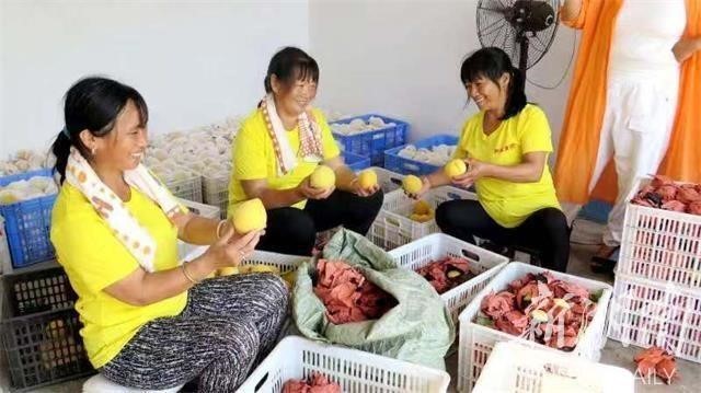 洪江市禹甜科技有限公司,黔阳瞐农产品的批发零售 洪江市禹甜科技有限公司,黔阳瞐农产品的批发零售
