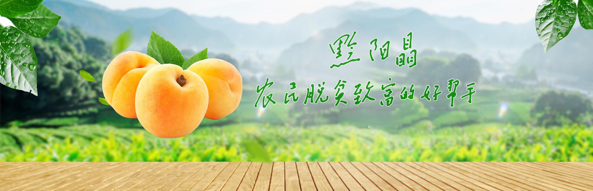 洪江市禹甜科技有限公司_黔阳瞐_农产品的批发零售